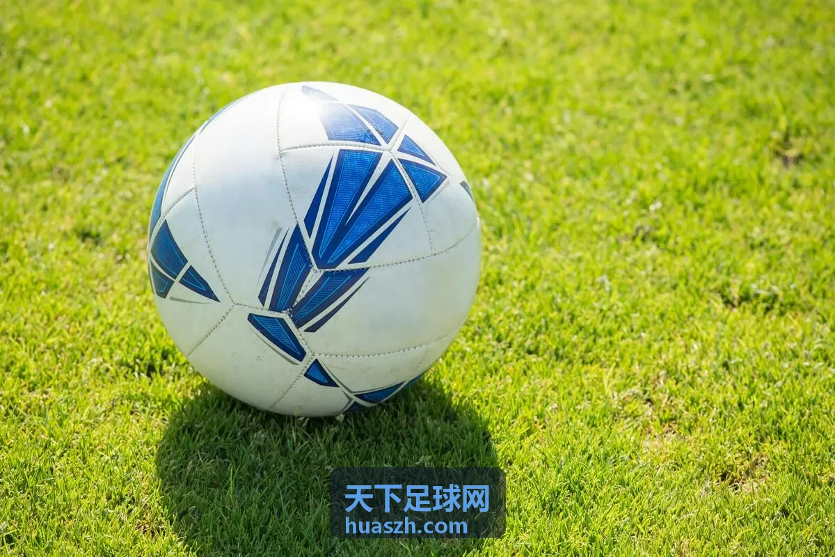 天下足球网数据图表